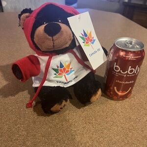 Canada 🇨🇦 150 stuffed Bear with Red Hoodie